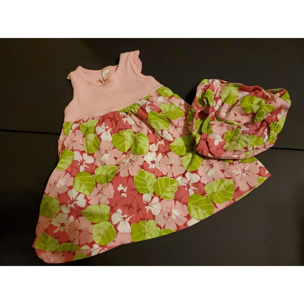 Girl's Baby Gap 12-18 month pink flowers dress matching bottoms